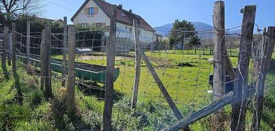 Terrain seul à Wuenheim en Haut-Rhin (68) de 1549 m² à vendre au prix de 308000€ - 3
