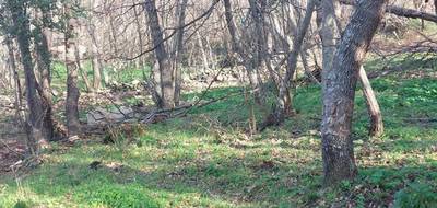 Terrain seul à Ville-di-Paraso en Haute-Corse (2B) de 1361 m² à vendre au prix de 111600€ - 3