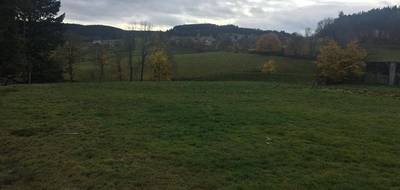 Terrain seul à Dunières en Haute-Loire (43) de 1218 m² à vendre au prix de 39900€ - 4