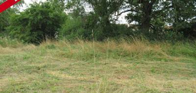 Terrain seul à Vendat en Allier (03) de 1730 m² à vendre au prix de 54000€ - 4