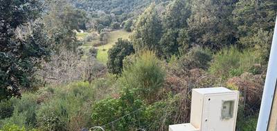 Terrain seul à Vico en Corse-du-Sud (2A) de 1200 m² à vendre au prix de 106590€ - 1
