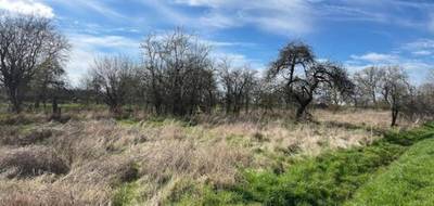 Terrain seul à Arracourt en Meurthe-et-Moselle (54) de 871 m² à vendre au prix de 40000€ - 1