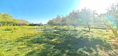 Terrain seul à Vic-en-Bigorre en Hautes-Pyrénées (65) de 3320 m² à vendre au prix de 79600€ - 1