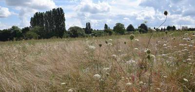 Terrain seul à Coincy en Aisne (02) de 4042 m² à vendre au prix de 57000€ - 2