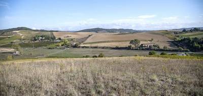Terrain seul à Limoux en Aude (11) de 27300 m² à vendre au prix de 184000€ - 4