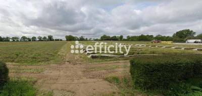 Terrain seul à Le Cellier en Loire-Atlantique (44) de 50000 m² à vendre au prix de 385000€ - 4