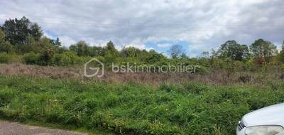 Terrain seul à Pourrain en Yonne (89) de 1195 m² à vendre au prix de 38770€ - 1