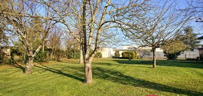 Terrain seul à Verrières-en-Anjou en Maine-et-Loire (49) de 800 m² à vendre au prix de 150000€ - 1