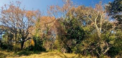 Terrain seul à Molières-sur-Cèze en Gard (30) de 1040 m² à vendre au prix de 59000€ - 1