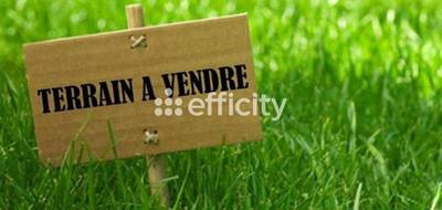 Terrain seul à Vernou-la-Celle-sur-Seine en Seine-et-Marne (77) de 4917 m² à vendre au prix de 99000€ - 1
