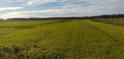 Terrain seul à Saint-Savinien en Charente-Maritime (17) de 1298 m² à vendre au prix de 33590€ - 3