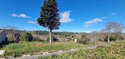 Terrain seul à Castelnau-le-Lez en Hérault (34) de 764 m² à vendre au prix de 780000€ - 3