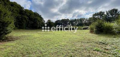 Terrain seul à Blanzay en Vienne (86) de 6260 m² à vendre au prix de 11000€ - 2