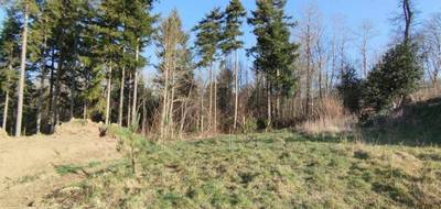 Terrain seul à Landévant en Morbihan (56) de 404 m² à vendre au prix de 106000€ - 1