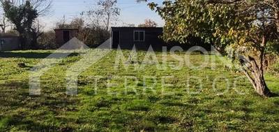 Programme terrain + maison à Viviers-lès-Montagnes en Tarn (81) de 738 m² à vendre au prix de 200000€ - 2