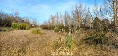 Terrain seul à Roques en Haute-Garonne (31) de 6000 m² à vendre au prix de 548600€ - 3