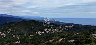 Terrain seul à Sari-Solenzara en Corse-du-Sud (2A) de 2600 m² à vendre au prix de 405000€ - 2