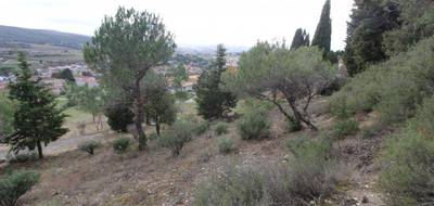 Terrain seul à Limoux en Aude (11) de 1515 m² à vendre au prix de 93500€ - 4