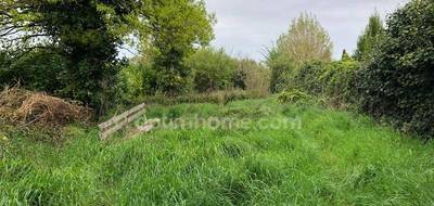 Terrain seul à Saint-Aubin-la-Plaine en Vendée (85) de 299 m² à vendre au prix de 21000€ - 4
