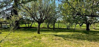 Terrain seul à Montauban en Tarn-et-Garonne (82) de 820 m² à vendre au prix de 69000€ - 1