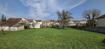 Terrain seul à Sucy-en-Brie en Val-de-Marne (94) de 620 m² à vendre au prix de 558000€ - 1