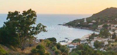 Terrain seul à Casaglione en Corse-du-Sud (2A) de 6470 m² à vendre au prix de 1008200€ - 1