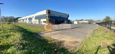 Terrain seul à Sallebœuf en Gironde (33) de 65 m² à vendre au prix de 77000€ - 1