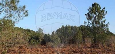Terrain seul à Tartas en Landes (40) de 42134 m² à vendre au prix de 31000€ - 3
