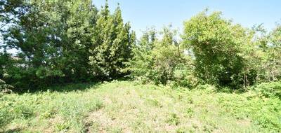 Terrain seul à Vérines en Charente-Maritime (17) de 595 m² à vendre au prix de 79000€ - 2