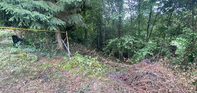 Terrain seul à Réchésy en Territoire de Belfort (90) de 760 m² à vendre au prix de 41990€ - 4