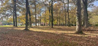 Terrain seul à Bazas en Gironde (33) de 3600 m² à vendre au prix de 90000€ - 3