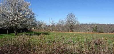 Terrain seul à Panazol en Haute-Vienne (87) de 1200 m² à vendre au prix de 125000€ - 1