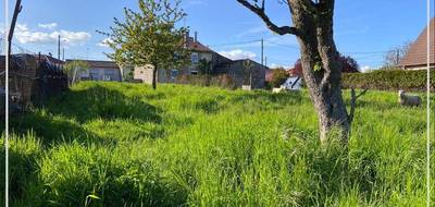 Terrain seul à Moriville en Vosges (88) de 887 m² à vendre au prix de 30000€ - 2