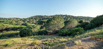 Terrain seul à Sainte-Maxime en Var (83) de 2270 m² à vendre au prix de 1220000€ - 3