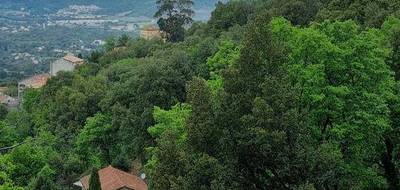 Terrain seul à Oletta en Haute-Corse (2B) de 3220 m² à vendre au prix de 290000€ - 3