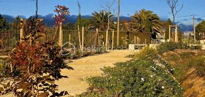 Terrain seul à Canet en Hérault (34) de 466 m² à vendre au prix de 133000€ - 2