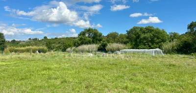 Terrain seul à Montarnaud en Hérault (34) de 16000 m² à vendre au prix de 59900€ - 3