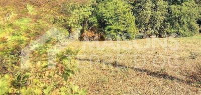 Programme terrain + maison à Lavaur en Tarn (81) de 615 m² à vendre au prix de 248000€ - 2