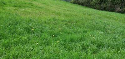 Terrain seul à Denèvre en Haute-Saône (70) de 1587 m² à vendre au prix de 20000€ - 1