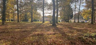 Terrain seul à Bazas en Gironde (33) de 3600 m² à vendre au prix de 90000€ - 4
