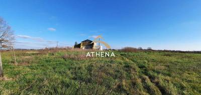 Terrain seul à Gornac en Gironde (33) de 3501 m² à vendre au prix de 149800€ - 2