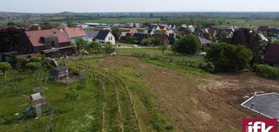 Terrain seul à Pfaffenheim en Haut-Rhin (68) de 580 m² à vendre au prix de 199500€ - 2