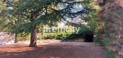 Terrain seul à Marseille 09 en Bouches-du-Rhône (13) de 1234 m² à vendre au prix de 450000€ - 1