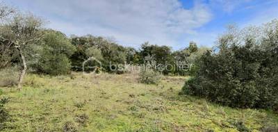 Terrain seul à Sommières en Gard (30) de 2376 m² à vendre au prix de 16000€ - 2