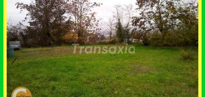 Terrain seul à Montluçon en Allier (03) de 400 m² à vendre au prix de 18000€ - 1