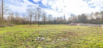 Terrain seul à Pruniers-en-Sologne en Loir-et-Cher (41) de 1107 m² à vendre au prix de 27990€ - 1