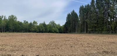 Terrain seul à Royères en Haute-Vienne (87) de 2624 m² à vendre au prix de 46000€ - 1