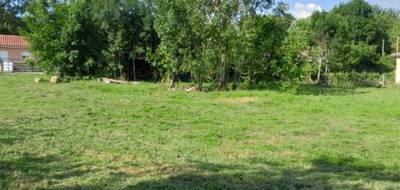 Terrain seul à Druillat en Ain (01) de 880 m² à vendre au prix de 83000€ - 3