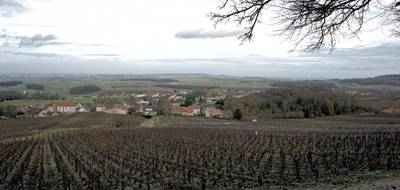 Terrain seul à Sermiers en Marne (51) de 671 m² à vendre au prix de 158000€ - 3