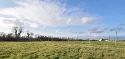 Terrain seul à Chemilly-sur-Yonne en Yonne (89) de 1715 m² à vendre au prix de 50000€ - 1